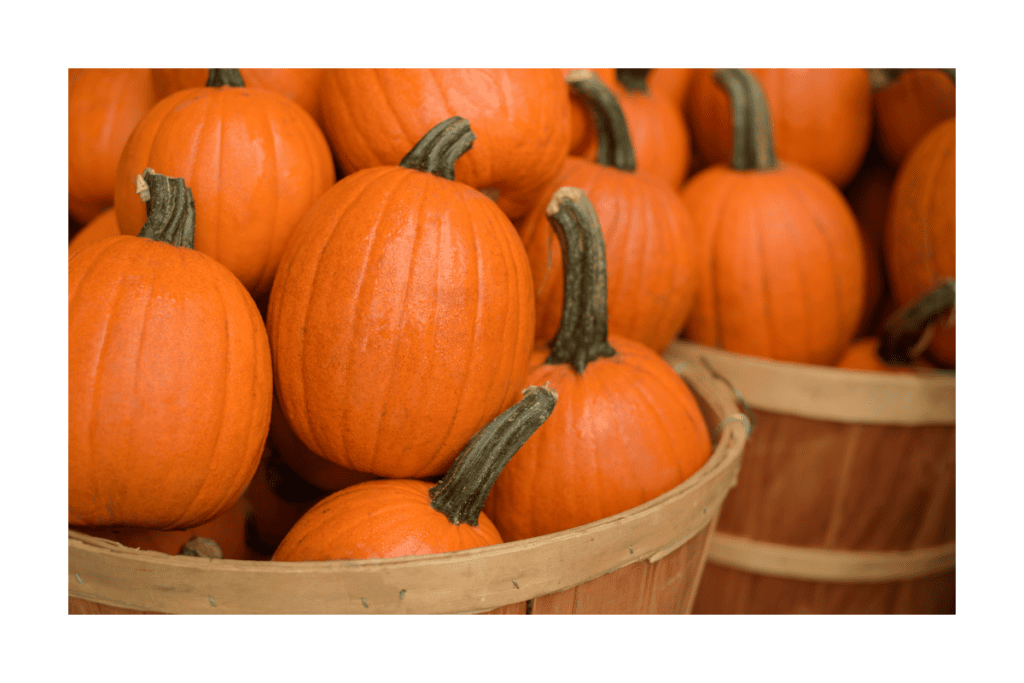 Sugar pumpkin in a basket